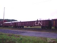 Canadian National Railway - CN 156800