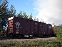 Canadian Natioanl Railway (Duluth, Winnipeg & Pacific Railway) - DWC 793634 - A606
