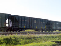 Canadian National (Illinois Central) - IC 101901