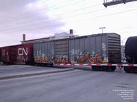 Canadian National Railway (Illinois Central) - IC 501198 - A302