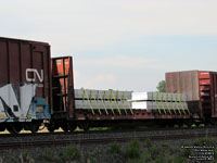 Canadian National  (Illinois Central Gulf) - ICG 978828