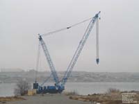 A crane in Richland