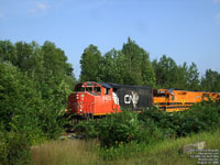 CN 9402 leads SLR train 393