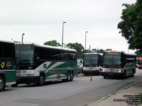 GO Transit bus 2242, 2236 and 2365 - 2004 MCI D4500