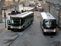 GO Transit bus 2333 & 2339 - 2007 MCI D4500CT