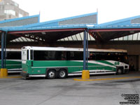 GO Transit bus 2419 - 2008 MCI D4500CT